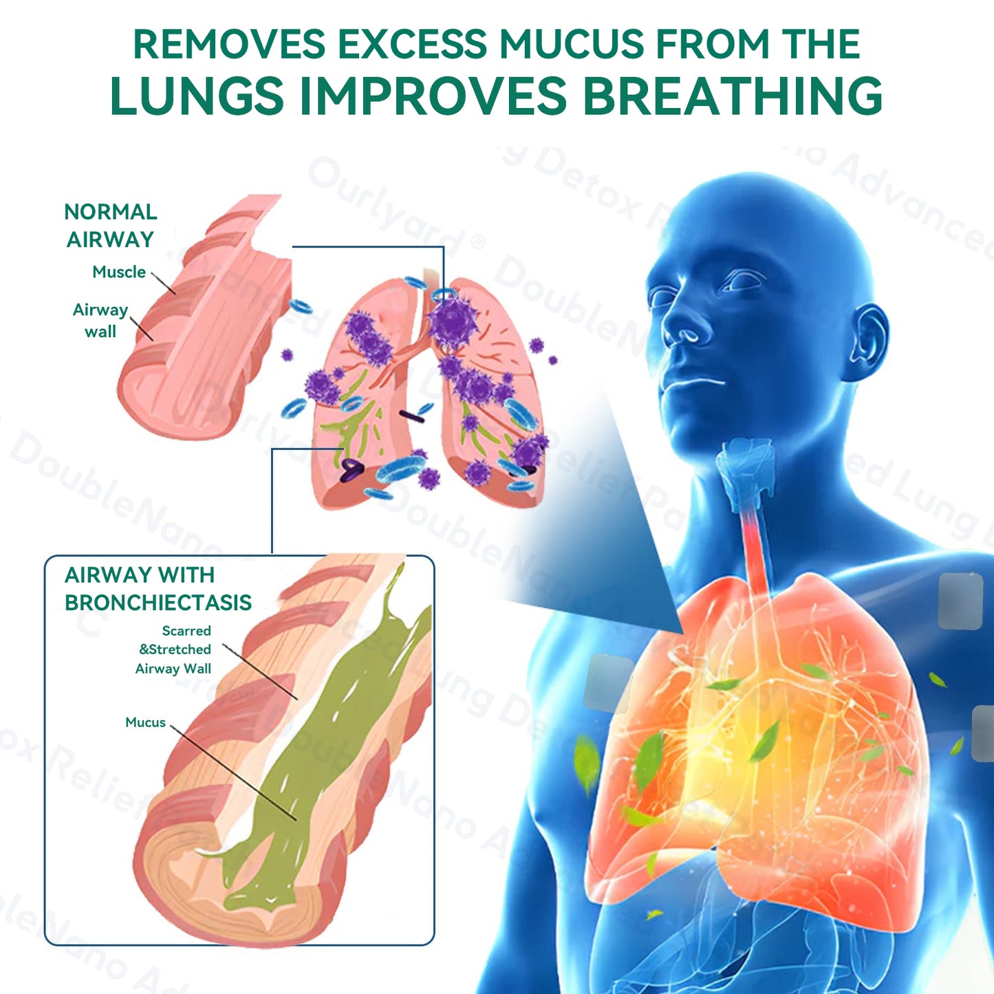 🌿FDA Approved|Zvoevo® DoubleNano COPD Relief 𝑶𝒓𝒂𝒍 𝑳𝒊𝒒𝒖𝒊𝒅 (💝 Cough, wheezing, shortness of breath, sputum, stuffy nose, bronchitis, bronchitis, allergy symptoms, lung discomfort🫁)