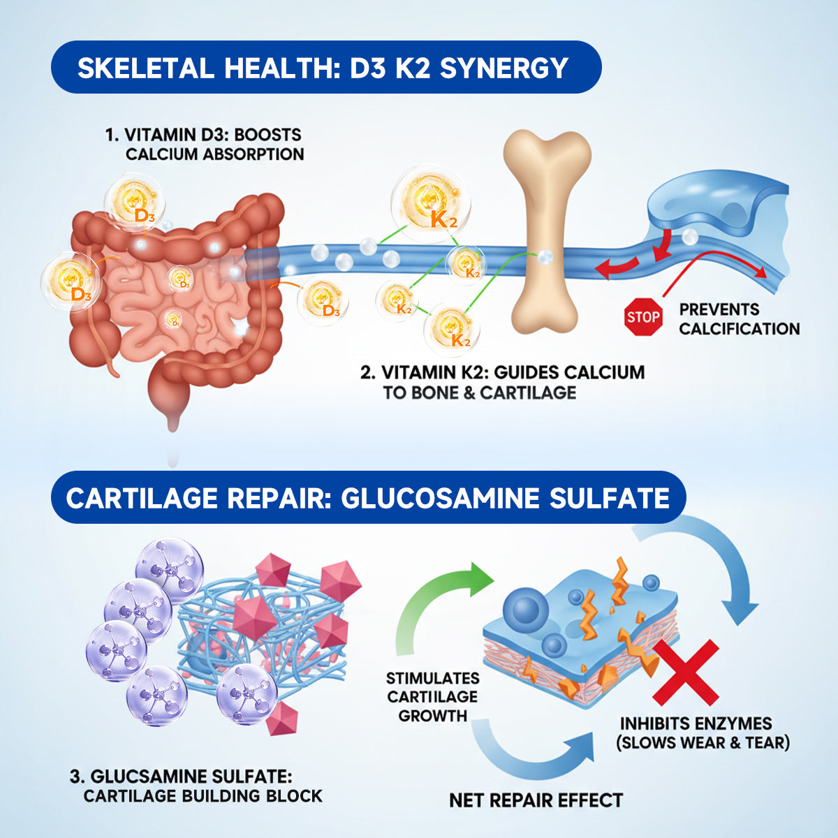 ✅🏆𝒁𝐯𝐨𝐞𝐯𝐨® BPC-157 Stabilized-Peptide Joint Recovery Oral Liquid - ✅Clinically Co-Developed with U.S. Peptide Research Alliance (USPRA)