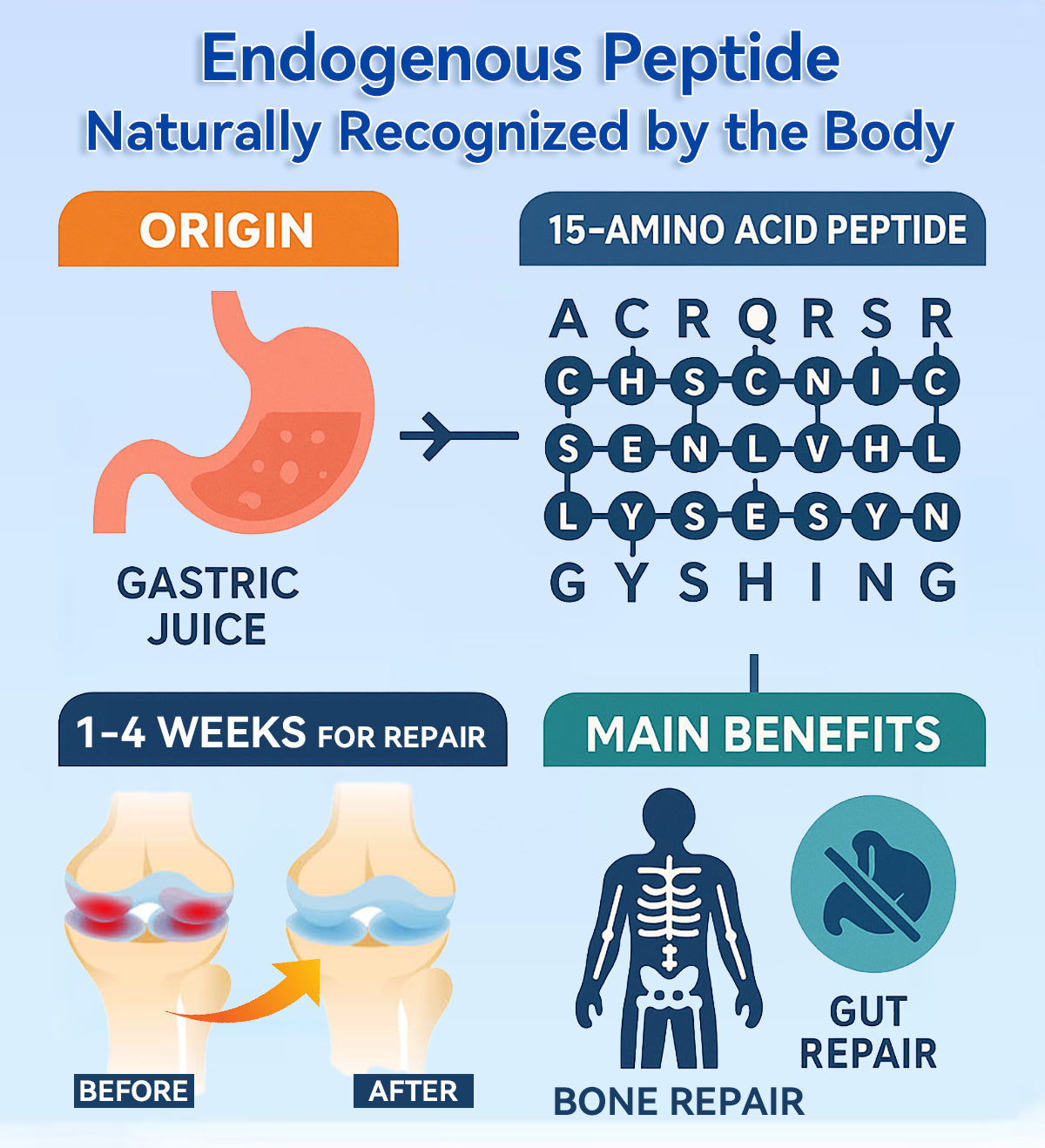 ✅🏆𝒁𝐯𝐨𝐞𝐯𝐨® BPC-157 Stabilized-Peptide Joint Recovery Oral Liquid - ✅Clinically Co-Developed with U.S. Peptide Research Alliance (USPRA)